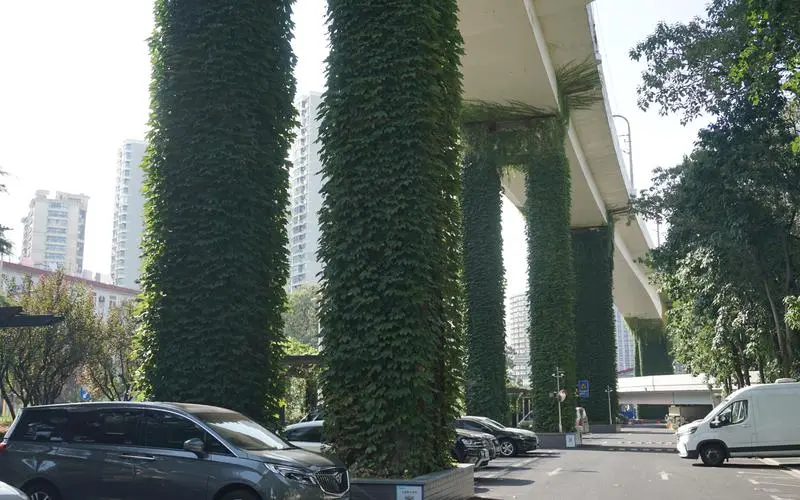 市政园林绿化工程监理规范 市政园林绿化工程监理规范