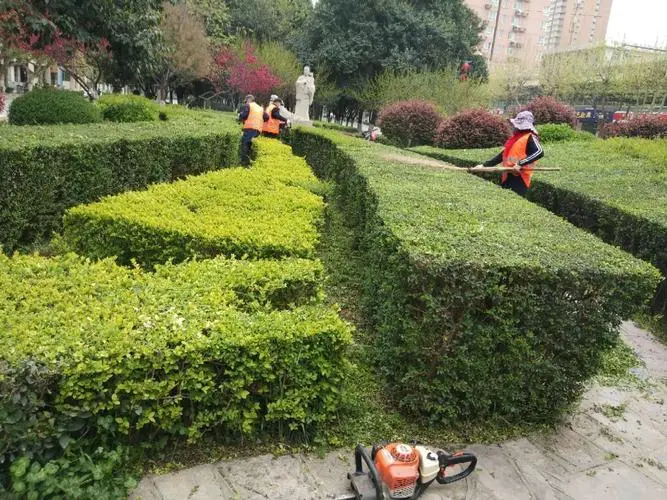 大范围绿化工程包括哪些 大范围绿化工程包括哪些