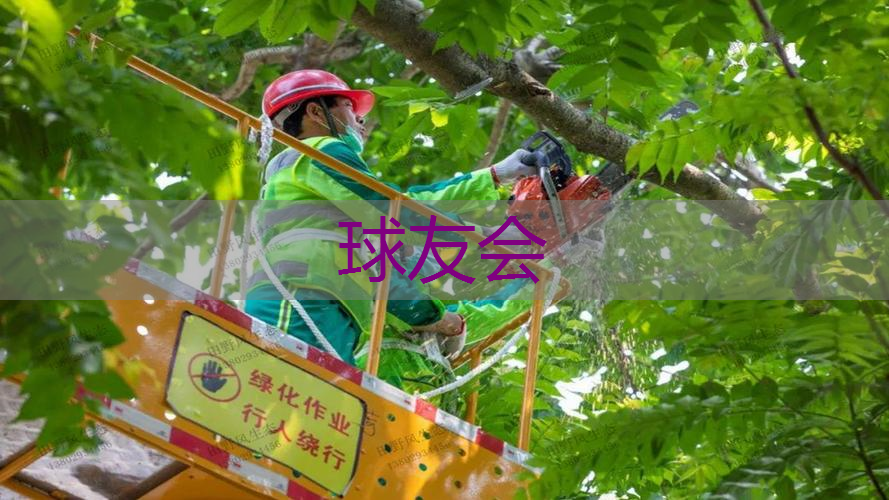 缺乏专业园丁,园林美化效果大打折扣 缺乏专业园丁,园林美化效果大打折扣