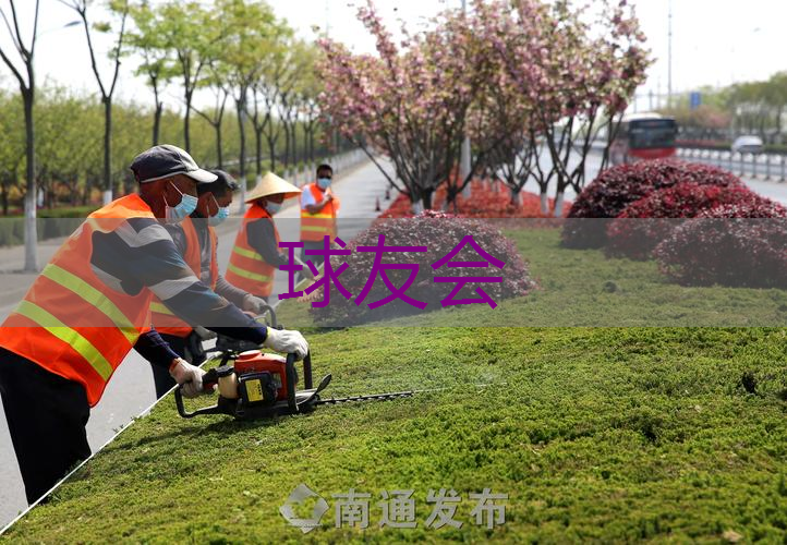 绿化工程太美怎么形容好 绿化工程太美怎么形容好